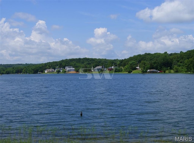 9882 W Vista Dr, Hillsboro, MO 63050 - water view with a heavily wooded area