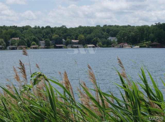 9882 W Vista Dr, Hillsboro, MO 63050 - water view