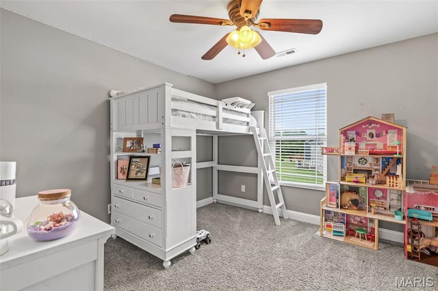 3215 Big Piney Dr, Festus, MO 63028 - photo 28