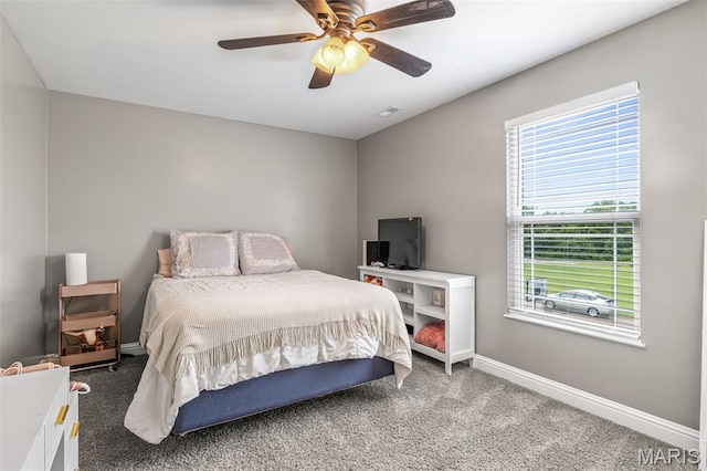3215 Big Piney Dr, Festus, MO 63028 - photo 29
