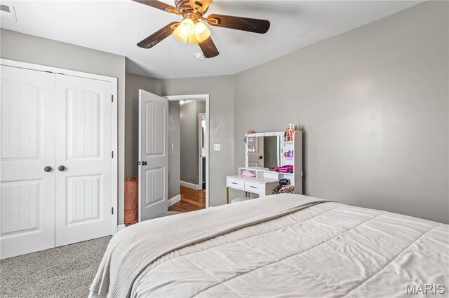 3215 Big Piney Dr, Festus, MO 63028 - photo 30