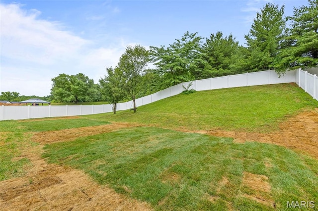 3215 Big Piney Dr, Festus, MO 63028 - photo 40