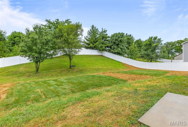 3215 Big Piney Dr, Festus, MO 63028 - photo 41