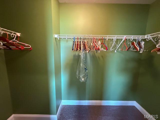 205 Prominence Ln, Lake St Louis, MO 63367 - view of walk in closet