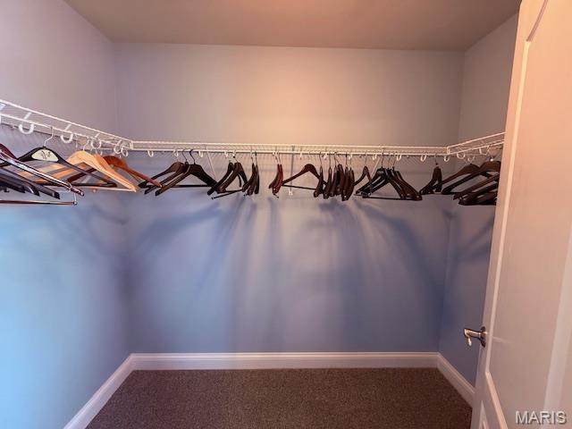 205 Prominence Ln, Lake St Louis, MO 63367 - spacious closet with carpet floors