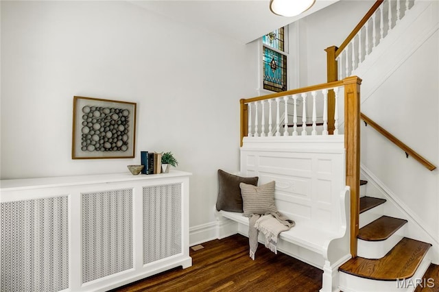 6163 Mcpherson Ave, Saint Louis, MO 63112 - photo 5