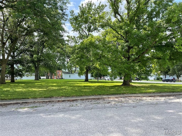 210 E Pocahontas Rd, Highland, IL 62249 - photo 3