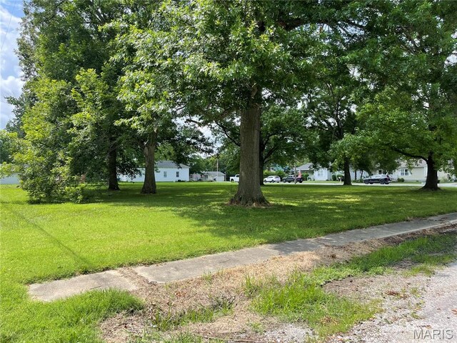 210 E Pocahontas Rd, Highland, IL 62249 - photo 6