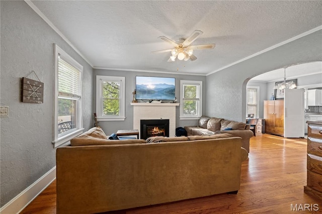 703 W Adams St, Jackson, MO 63755 - photo 3