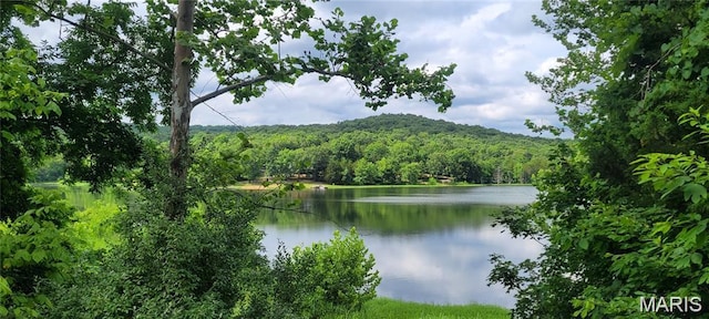 155LOT Hill Side Rd, De Soto, MO 63020