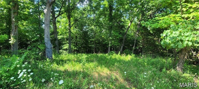 155LOT Hill Side Rd, De Soto, MO 63020