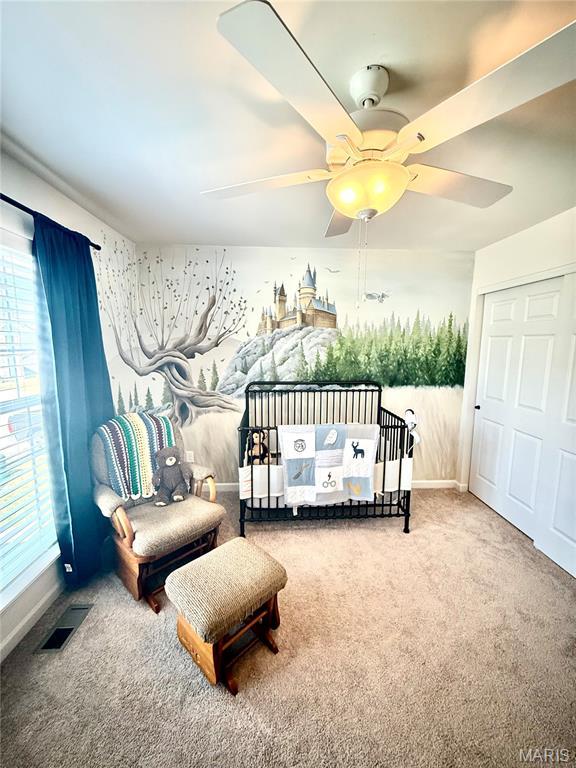 17513 Wyman Ridge Dr, Eureka, MO 63025 - photo 27