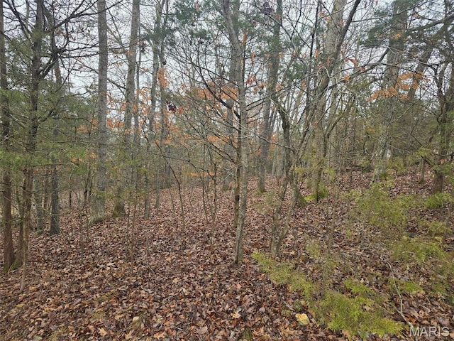 0 Fez Ter, Branson, MO 65740