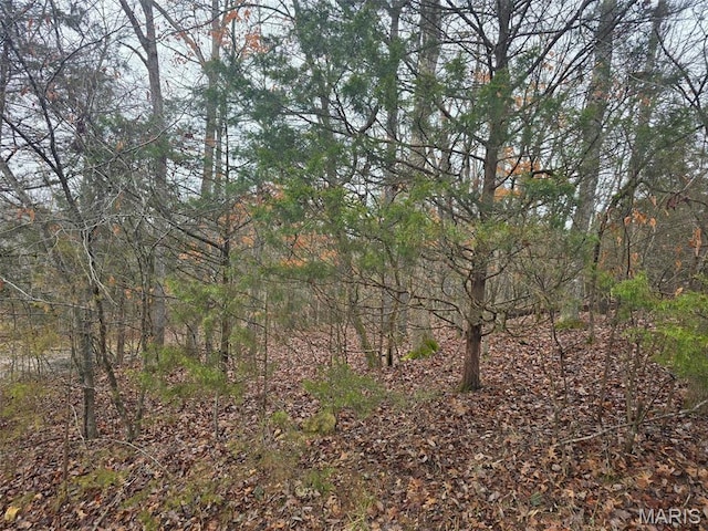 0 Fez Ter, Branson, MO 65740