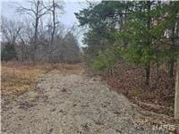 0 Fez Ter, Branson, MO 65740