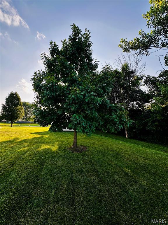 122 Joe D Dr, Jonesburg, MO 63351 - photo 13