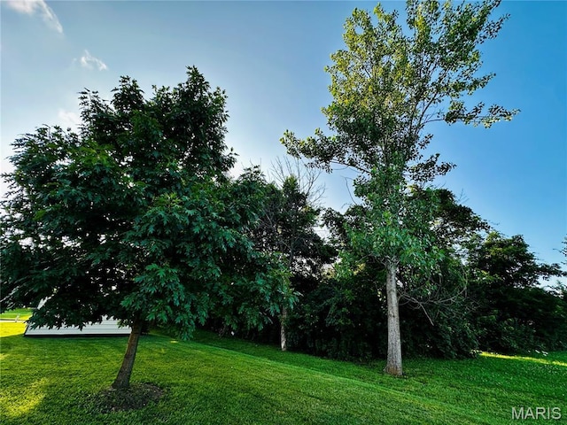 122 Joe D Dr, Jonesburg, MO 63351 - photo 14
