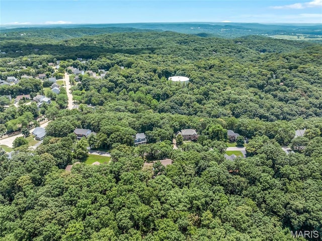 16517 Lancaster Estates Dr, Grover, MO 63040 - bird's eye view of a heavily wooded area