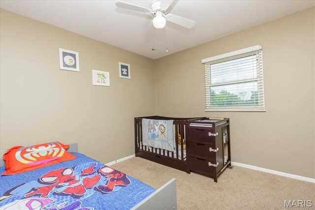 8 Wisteria Way, Saint Peters, MO 63376 - photo 13