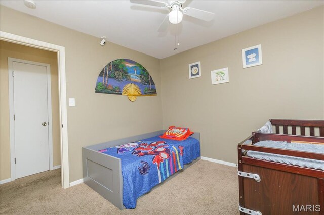 8 Wisteria Way, Saint Peters, MO 63376 - photo 14