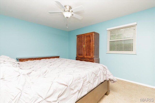 8 Wisteria Way, Saint Peters, MO 63376 - photo 18