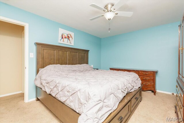 8 Wisteria Way, Saint Peters, MO 63376 - photo 19