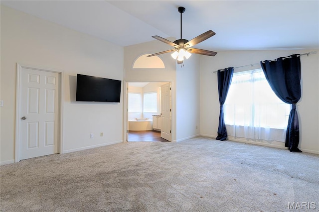 302 Pleasant Meadows Dr, Wentzville, MO 63385 - photo 19