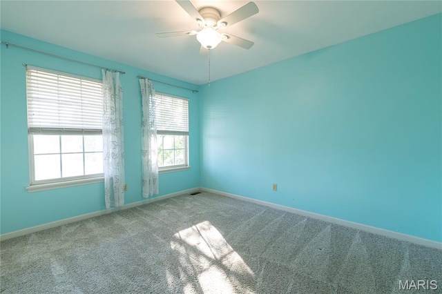 302 Pleasant Meadows Dr, Wentzville, MO 63385 - photo 25