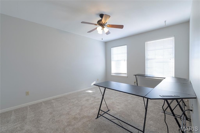 302 Pleasant Meadows Dr, Wentzville, MO 63385 - photo 27