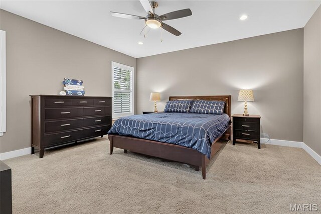 8035 Radcliffe Pl, Troy, IL 62294 - photo 18