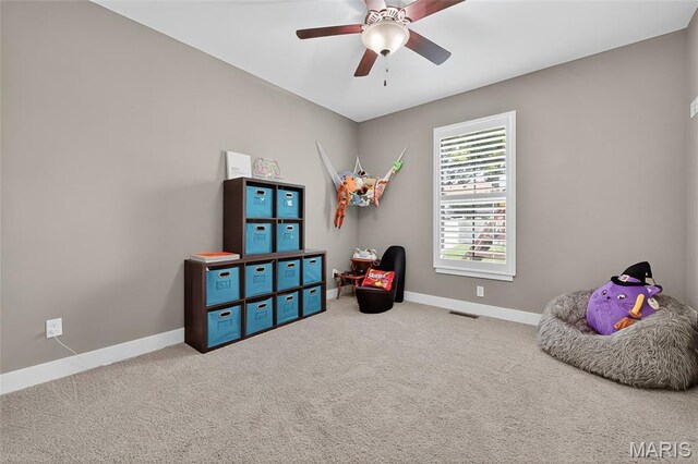 8035 Radcliffe Pl, Troy, IL 62294 - photo 24