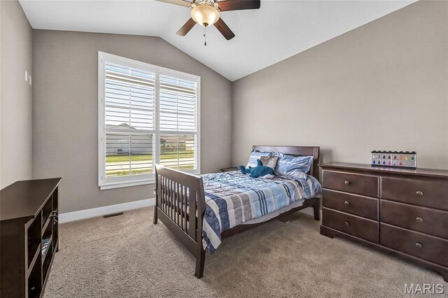8035 Radcliffe Pl, Troy, IL 62294 - photo 27