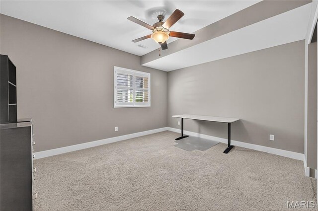 8035 Radcliffe Pl, Troy, IL 62294 - photo 36