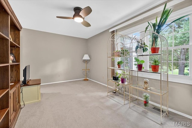 12511 Royal Manor Dr, Saint Louis, MO 63141 - photo 27