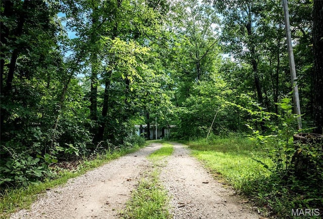 184 Murray Ln, Bourbon, MO 65441 - photo 3