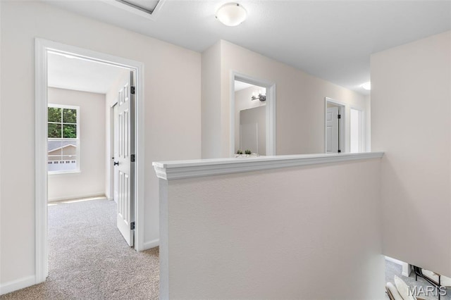 1917 Magnolia Way, Pevely, MO 63070 - hall featuring carpet floors and baseboards