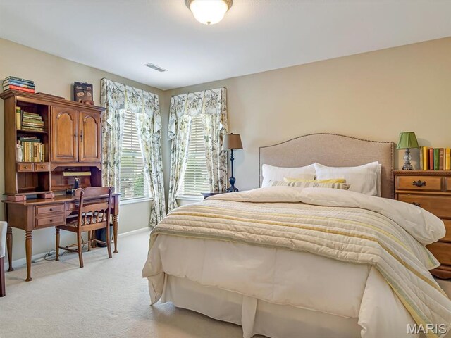 1509 Scoter Ct, Swansea, IL 62226 - photo 19