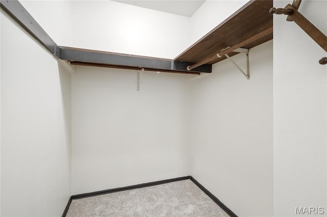 2516 Westminister Dr, Saint Charles, MO 63301 - walk in closet with carpet