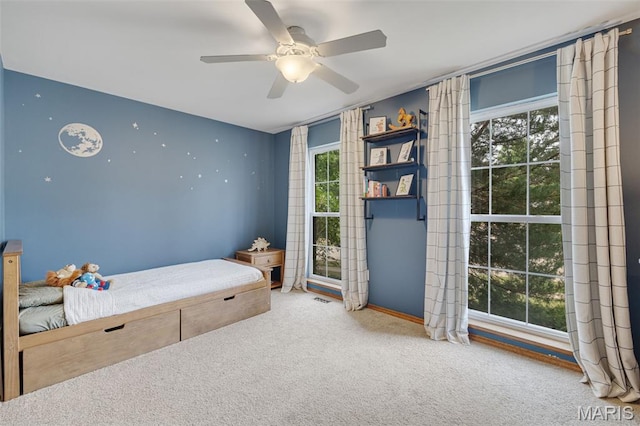 10358 Jade Forest Dr, Saint Louis, MO 63123 - photo 24