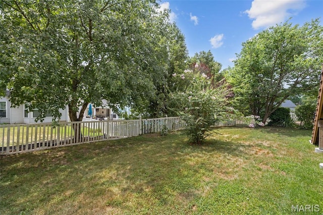 10358 Jade Forest Dr, Saint Louis, MO 63123 - photo 34