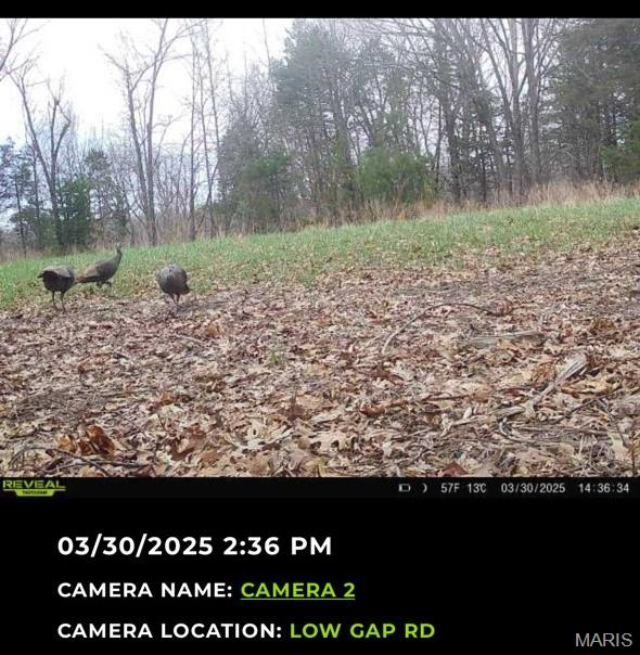24285 Low Gap Rd, Warrenton, MO 63383 - photo 15