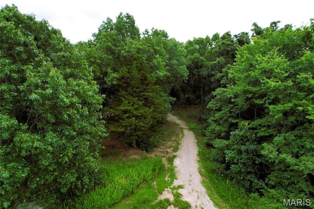 24285 Low Gap Rd, Warrenton, MO 63383 - photo 7