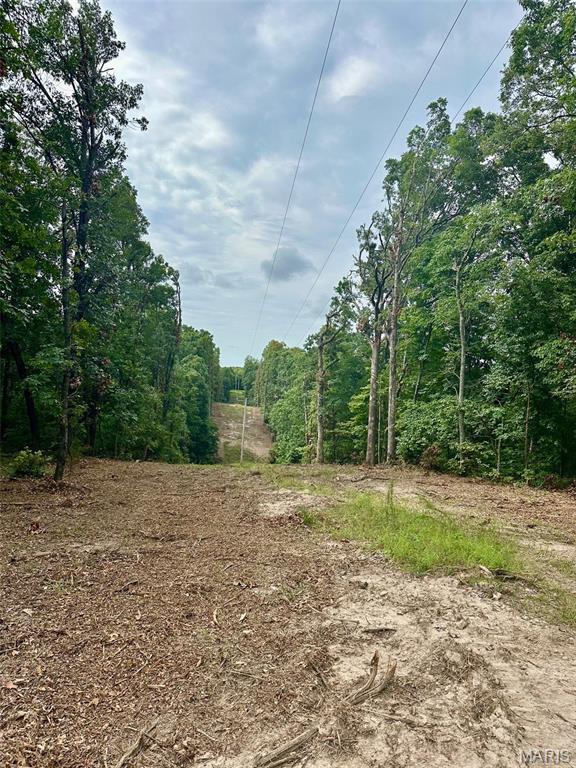 24285 Low Gap Rd, Warrenton, MO 63383 - photo 12
