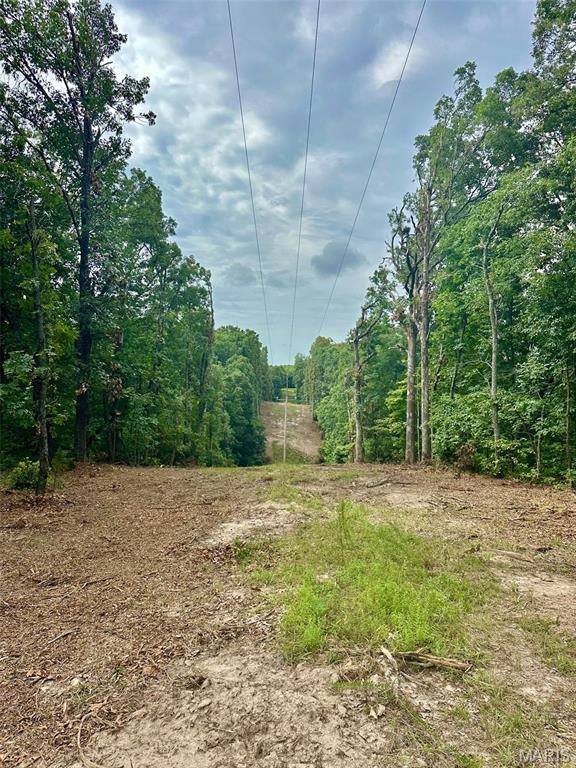 24285 Low Gap Rd, Warrenton, MO 63383 - photo 13