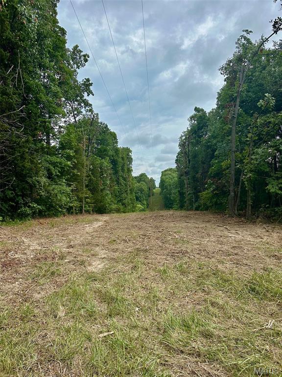 24285 Low Gap Rd, Warrenton, MO 63383 - photo 16