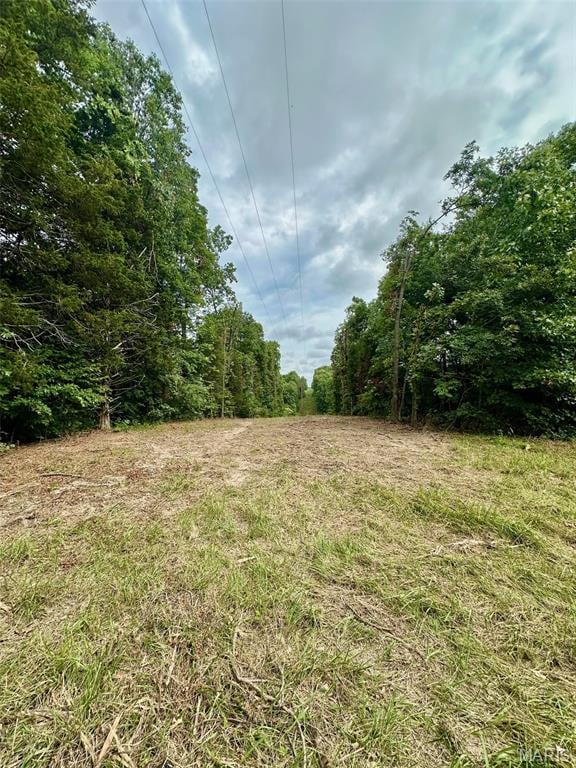 24285 Low Gap Rd, Warrenton, MO 63383 - photo 17