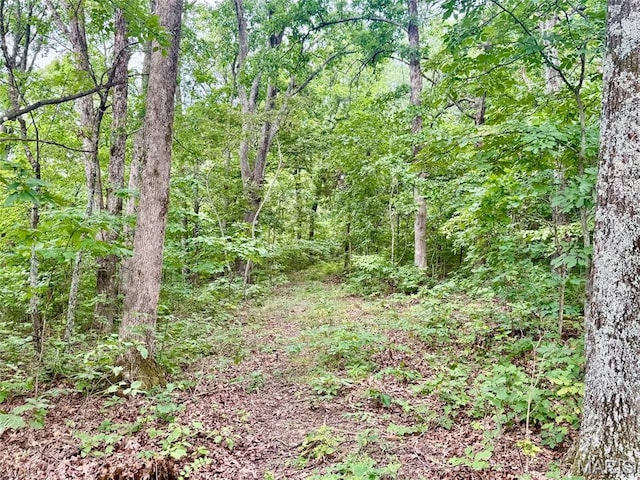 24285 Low Gap Rd, Warrenton, MO 63383 - photo 18