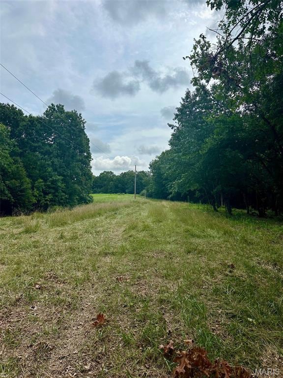 24285 Low Gap Rd, Warrenton, MO 63383 - photo 20