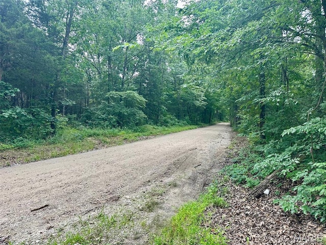 24285 Low Gap Rd, Warrenton, MO 63383 - photo 24