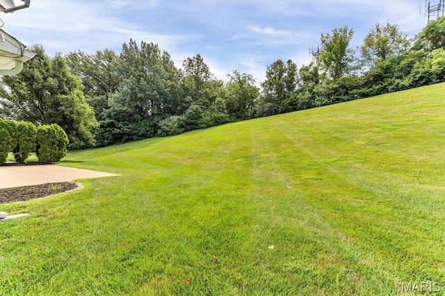 30 Hill Ridge Ct Unit 14, Saint Charles, MO 63303 - photo 5